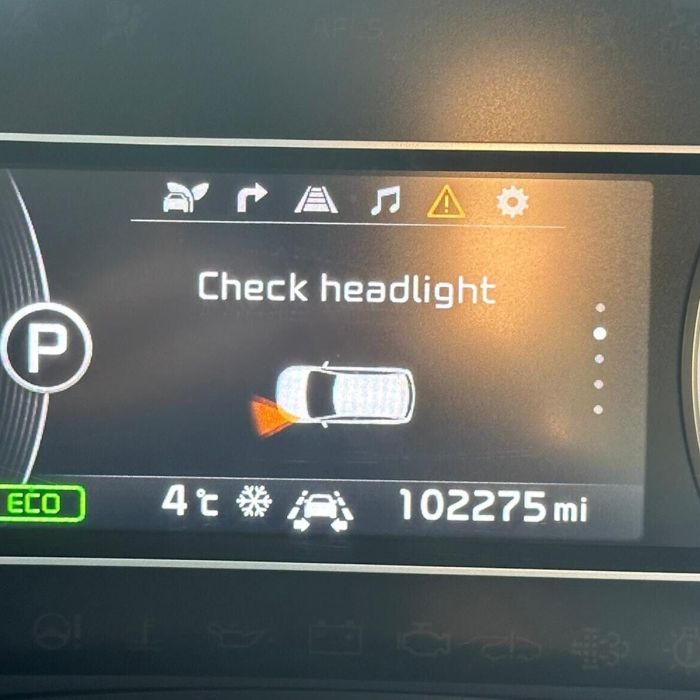 D8S 25W Xenon HID Replacement Bulbs